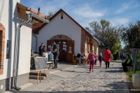 Tök jó barangolások a Monori Pincefaluban – Egy felejthetetlen nap a napsütésben