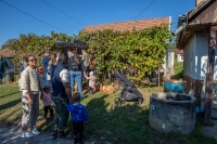 Tök jó barangolások a Monori Pincefaluban – Egy felejthetetlen nap a napsütésben