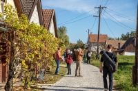 Tök jó barangolások a Monori Pincefaluban – Egy felejthetetlen nap a napsütésben