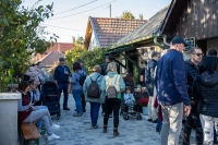 Tök jó barangolások a Monori Pincefaluban – Egy felejthetetlen nap a napsütésben