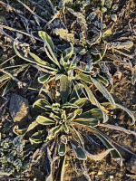 Bejglilejáró Túra 2025