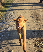 Bejglilejáró Túra 2025