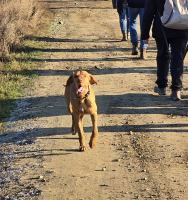 Bejglilejáró Túra 2025
