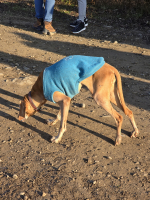 Bejglilejáró Túra 2025