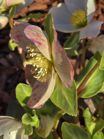 Bejglilejáró Túra 2025