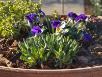 Bejglilejáró Túra 2025