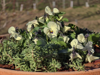 Bejglilejáró Túra 2025