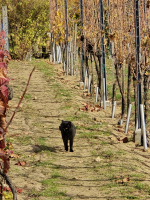 Bejglilejáró Túra 2025