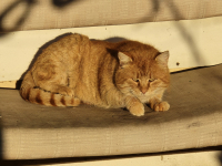 Bejglilejáró Túra 2025