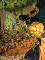 Bejglilejáró Túra 2025