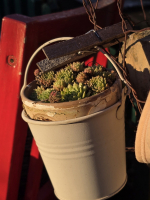 Bejglilejáró Túra 2025