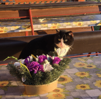 Bejglilejáró Túra 2025