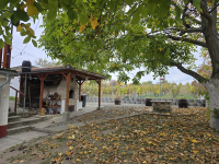 Mi újság Domberzolék pincéjében?