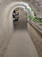 Mi újság Domberzolék pincéjében?