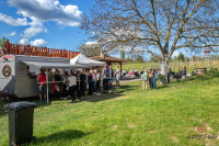 Mi újság Domberzolék pincéjében?