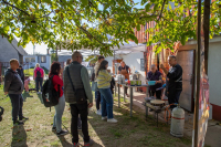 Mi újság Domberzolék pincéjében?