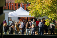 Mi újság Domberzolék pincéjében?