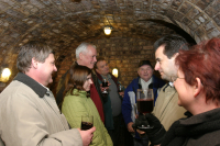 Egy borpince története a pincefalu Sárfehér során