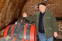 Egy borpince története a pincefalu Sárfehér során