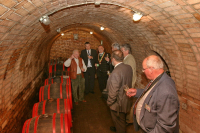 Egy borpince története a pincefalu Sárfehér során