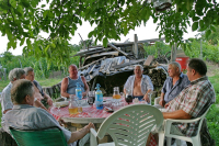 Egy borpince története a pincefalu Sárfehér során