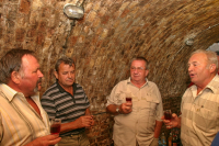 Egy borpince története a pincefalu Sárfehér során