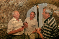 Egy borpince története a pincefalu Sárfehér során