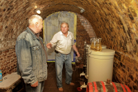 Egy borpince története a pincefalu Sárfehér során