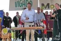 Borvidékek Hétvégéje 2025: A bor és kultúra ünnepe a Monori Pincefaluban