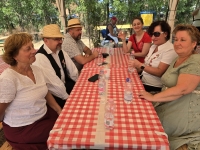 Izgalmas Küzdelmek a XIV. Monori Fogathajtó Versenyen!