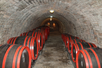 Borospince szellőztetése télen és nyáron