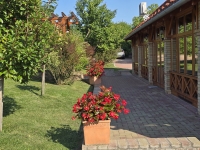 Monori Pincefalu nyári virágai