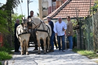 Húsvéti séta a Monori Pincefaluban