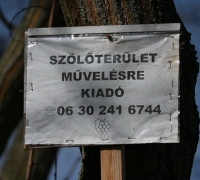 Húsvéti séta a Monori Pincefaluban