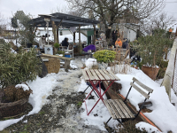 Forral Boros Barangolás a monori Strázsahegyen-2026