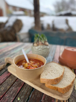 Forral Boros Barangolás a monori Strázsahegyen-2026