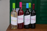 Forral Boros Barangolás a monori Strázsahegyen-2026