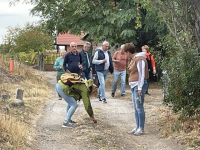 Nóta-Túra a Téglagyári Pincék között