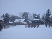 Végre itt a hó, januári pincefalu séta