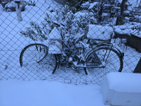 Végre itt a hó, januári pincefalu séta