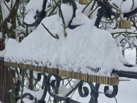 Végre itt a hó, januári pincefalu séta-2