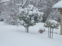 Végre itt a hó, januári pincefalu séta-2