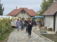 Tök-Jó Barangolások a Monori Pincefaluban 2026