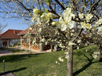 Húsvéti barangolások 2026 képekben