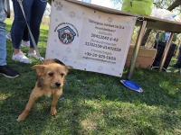 Húsvéti barangolások 2026 képekben