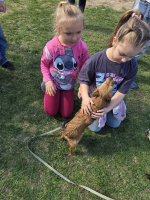 Húsvéti barangolások 2026 képekben