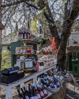 Húsvéti barangolások 2026 képekben