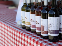 Húsvéti barangolások 2026 képekben