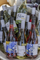 Húsvéti barangolások 2026 képekben