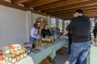 Húsvéti barangolások 2026 képekben